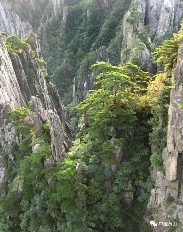 hahabet官网亮点